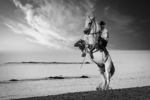 Guardian at the beach 5