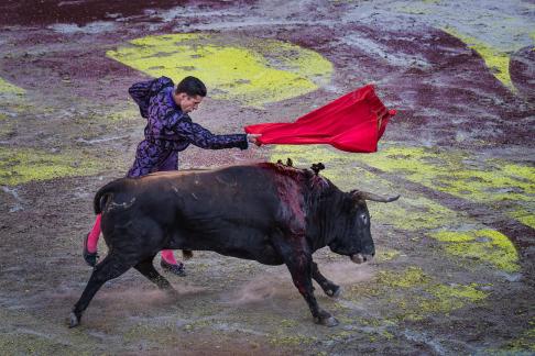 Matador Arles 1