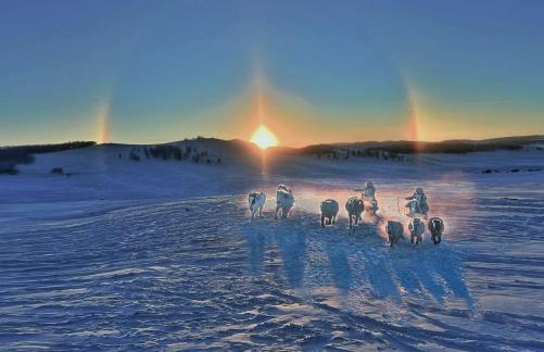 Horse racing in the sunset