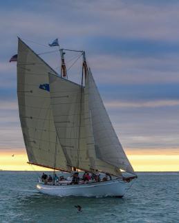 Sunset cruise Key West