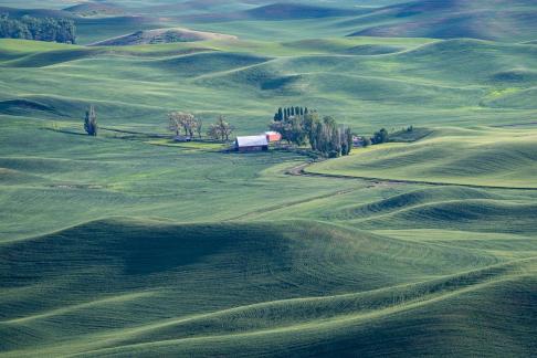 Palouse 15