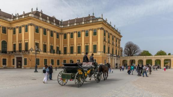 HORSE CARRIAGE SCHONBRUNN