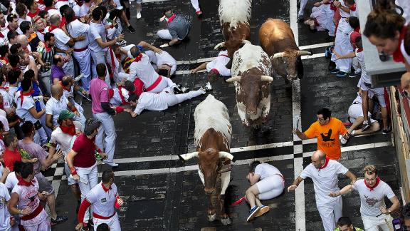 Bullfighter Festival 12