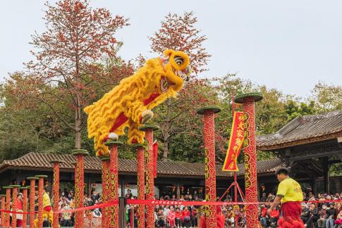 The breathtaking lion dance A