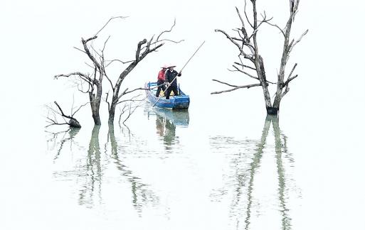 Rowing through the woods