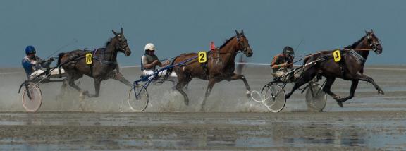 trot race 8