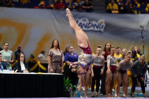 Tide Diving Floor 2022 LSU