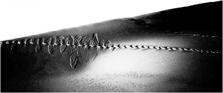 Sand tracks