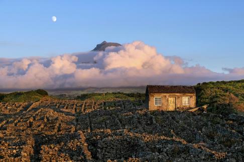 Landscape at Criazao Velha