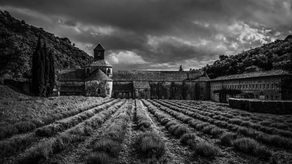 Abbaye de Senanque