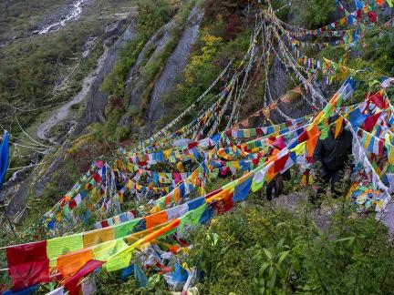 Flags Above Valley