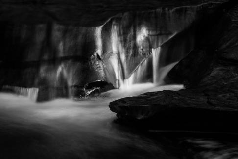 Dolphin in Waterfall