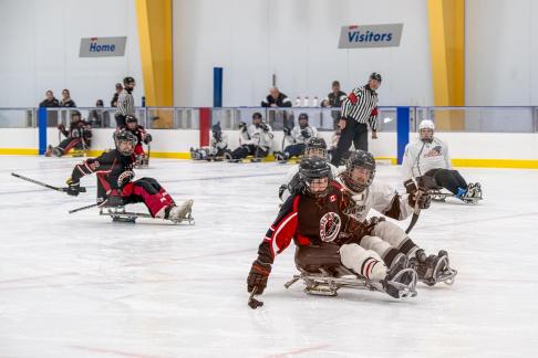 Sledge Hockey 14