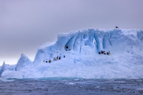 Penguins on Ice 7