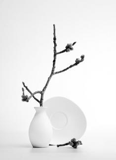 Still life in white 7