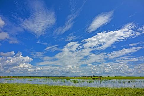 Tiangao Grassland is Beautiful