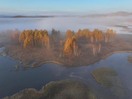 Wetland Autumn Colors