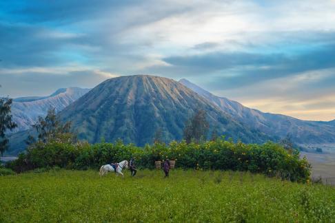 Under Mt Bromo