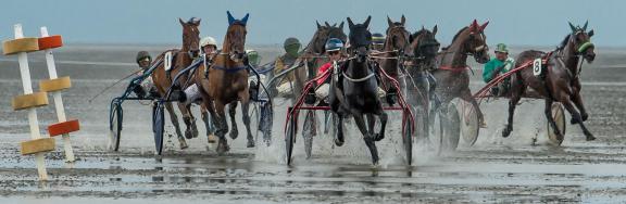 trot race 20