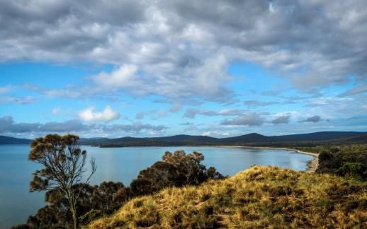 Bruny island afternoon