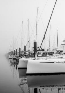 Misty marina morning