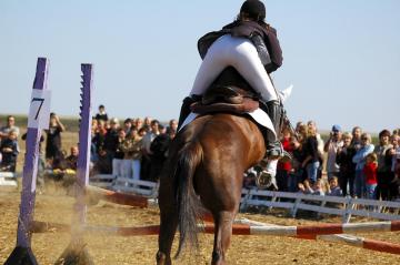 Show-jumping