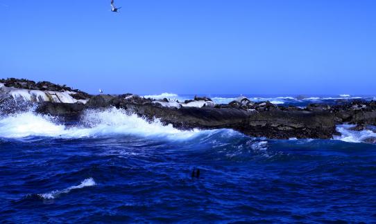 Kangaroo Island 3