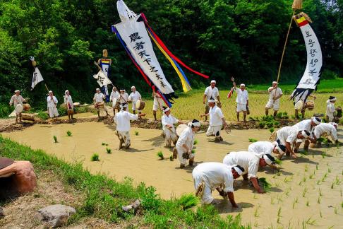 Rice-planting Production 01