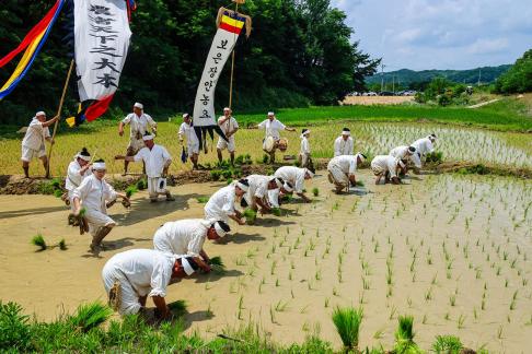 Rice-planting Production 02