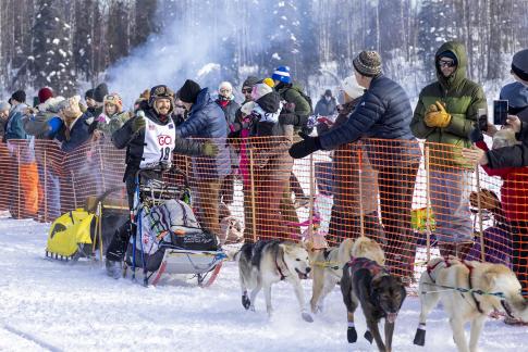 Iditarod Musher 18