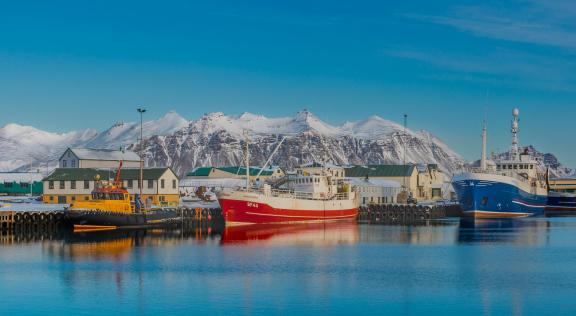 Fishing Harbour In Iceland 102