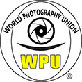 WPU[2024]133