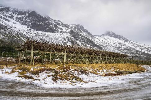 Cod drying field of Lofoten