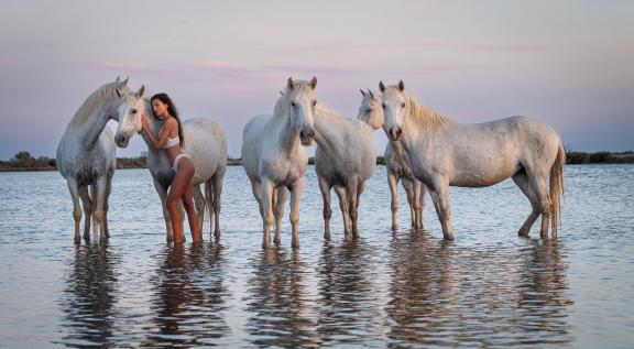 Vanessa and Camargue horses 9