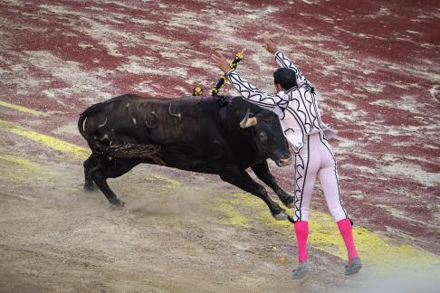 Feria du Riz 24