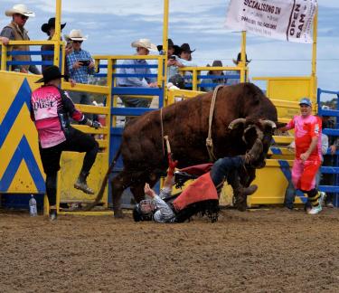 Kilcoy cowboy