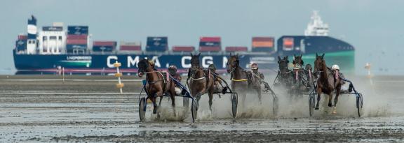 trot race 16