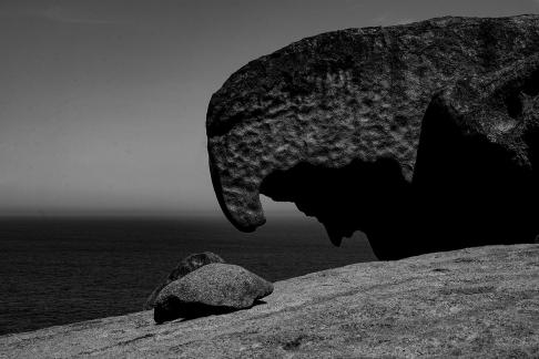 Elephant Trunk Stone