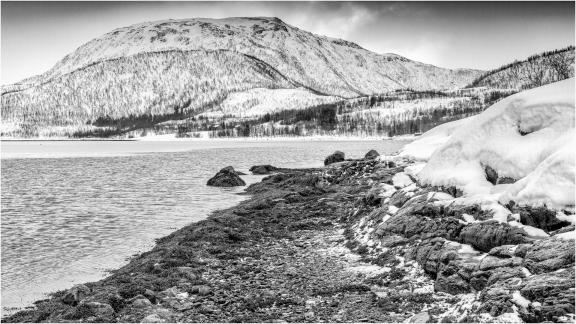 Hundbergneset fjord views