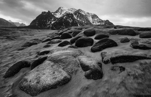 Petrified Giants