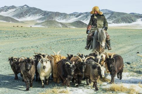 Kazakh Goat Herder 01