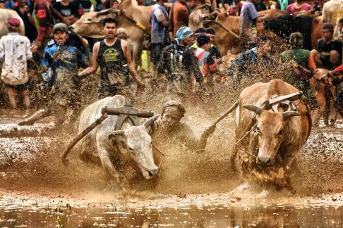 Charge on mud 14