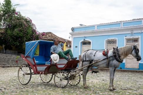 Horse Carts in Trinidad 01