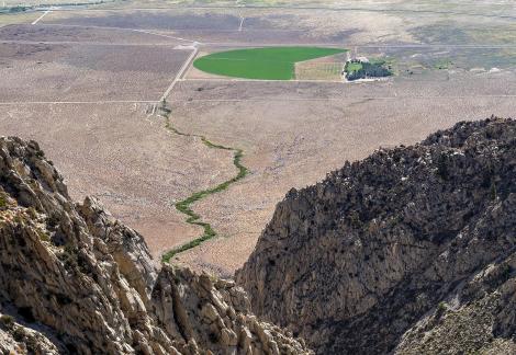 Farm In Desert