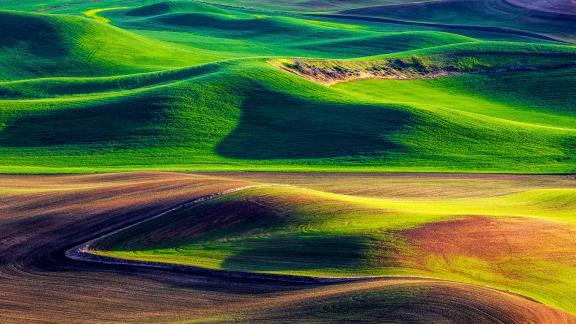 Palouse 05