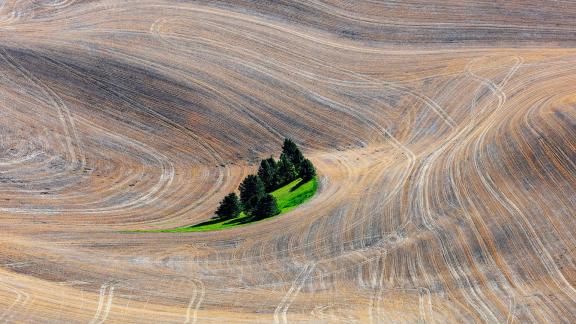 Palouse 34