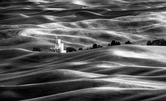 Palouse 85