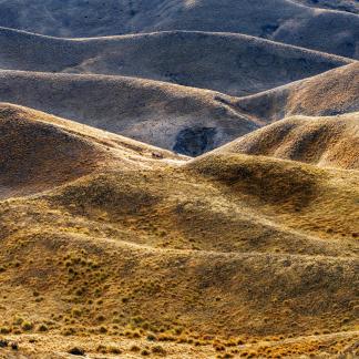 Lindis pass folds