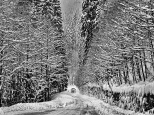 Snowtheroad Snowtheroad