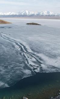 glacier 19